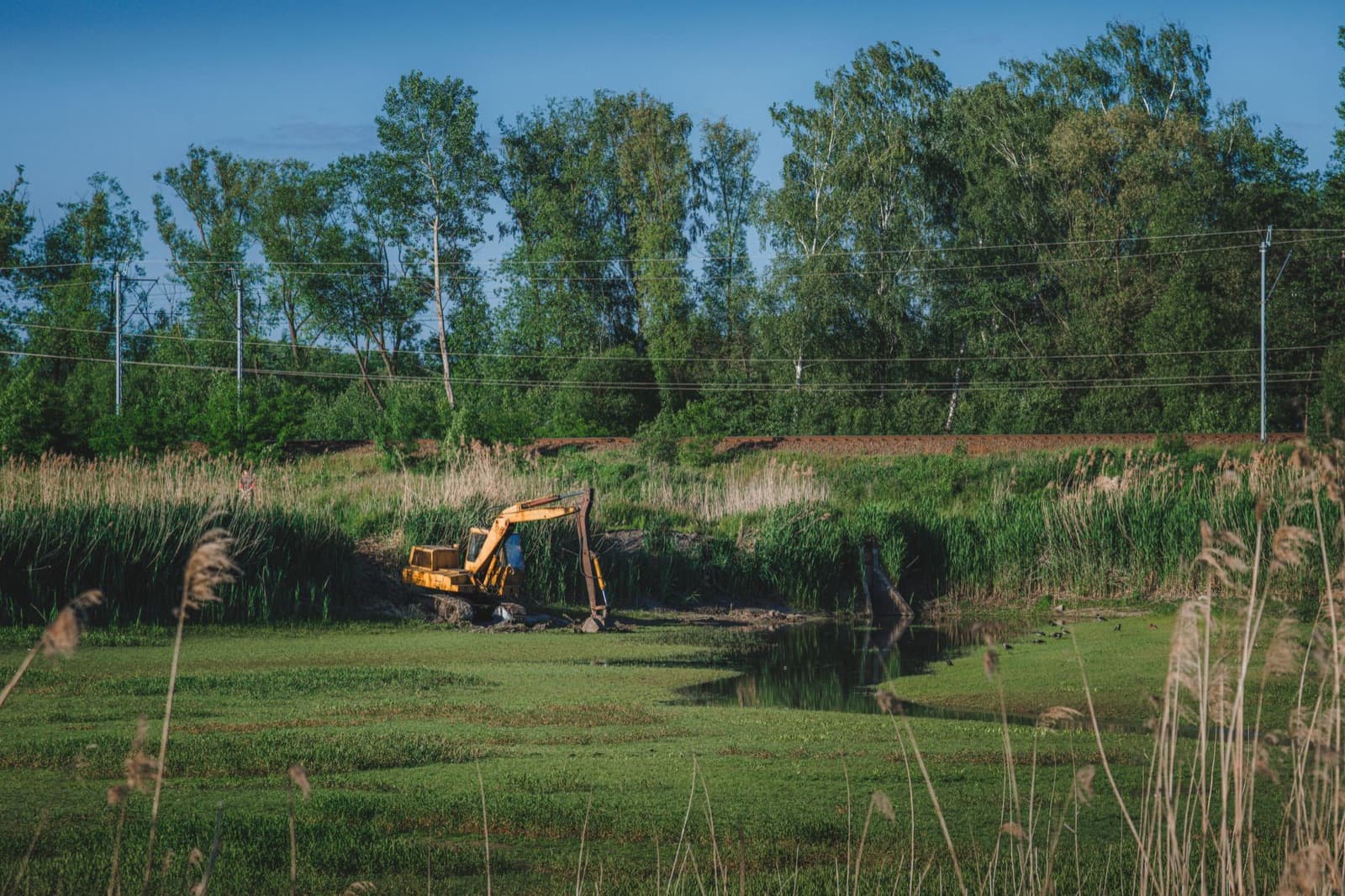 Partially cleared lot with brush piles ready for hauling
